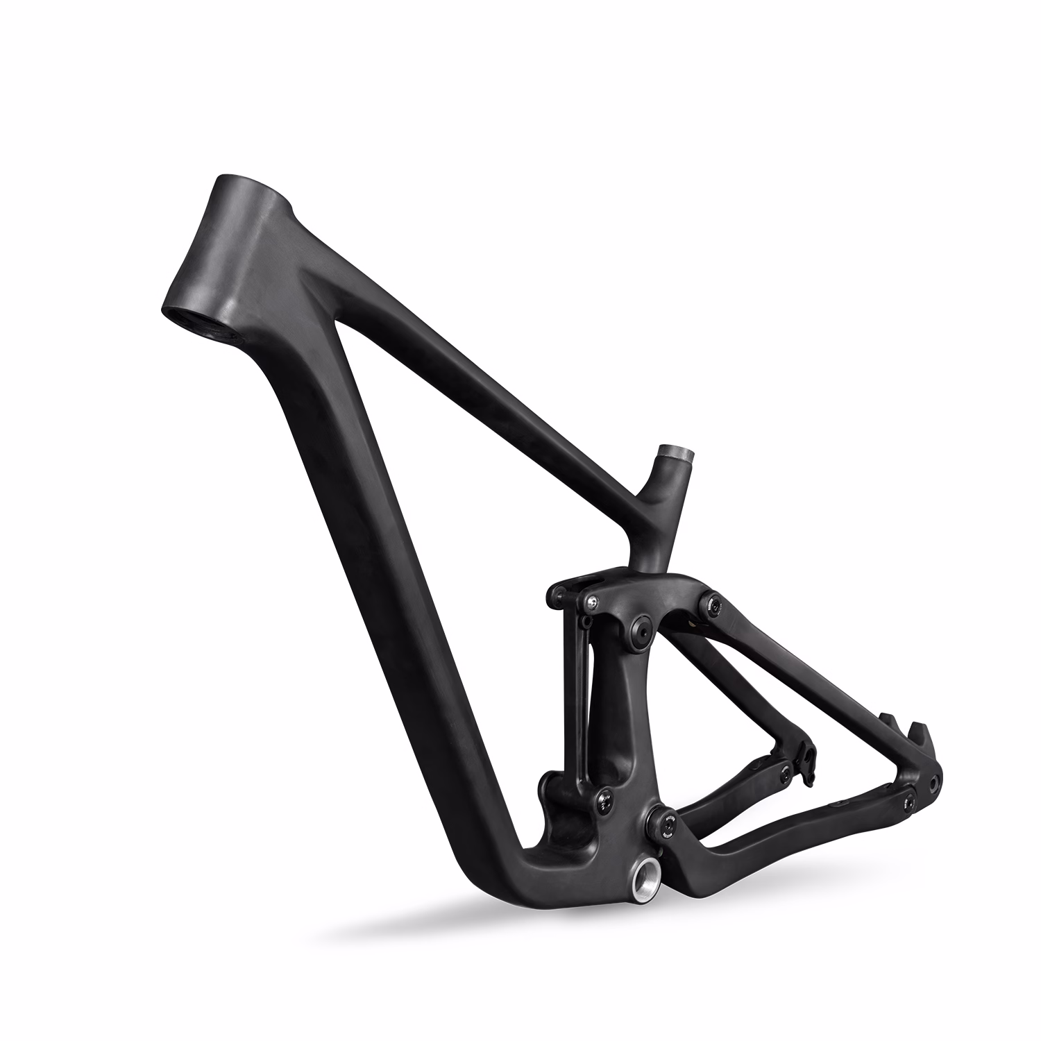Carbon Trail Frame P13 with UDH