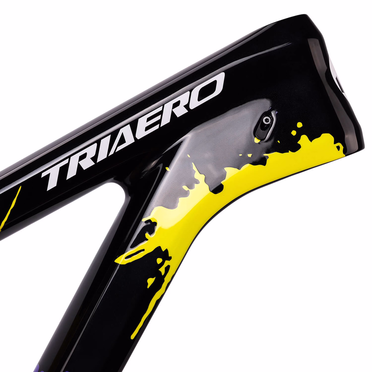 Custom Painted Frameset ICAN -P9-2 Custom Painted Frameset ICAN -P9