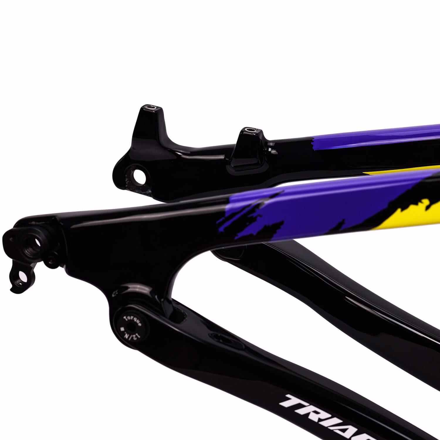 Custom Painted Frameset ICAN -P9-3 Custom Painted Frameset ICAN -P9