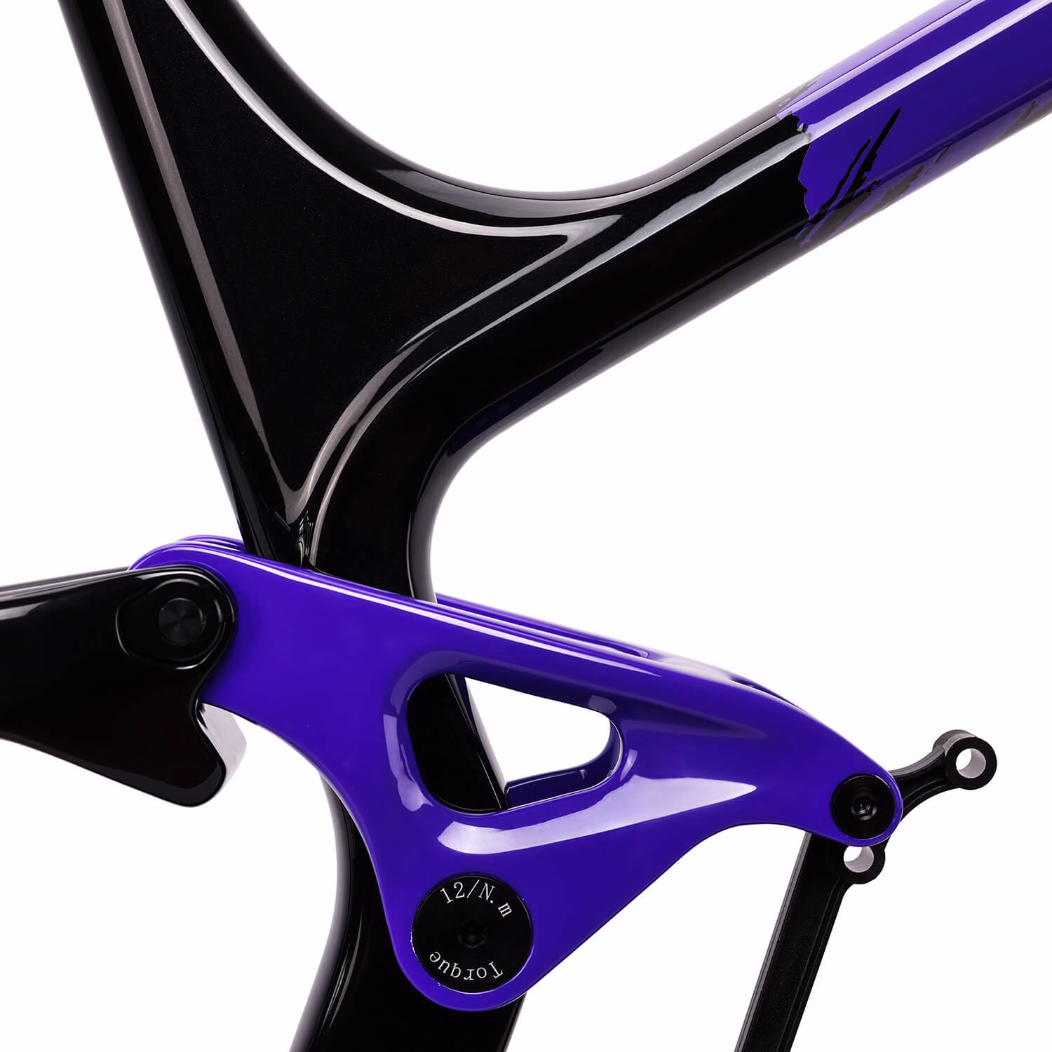 Custom Painted Frameset ICAN -P9 Custom Painted Frameset ICAN -P9