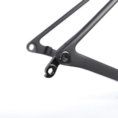 T1000 Carbon road disc brake frame FL1 795g